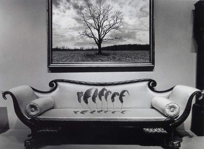 Без названия © 1987 Jerry Uelsmann